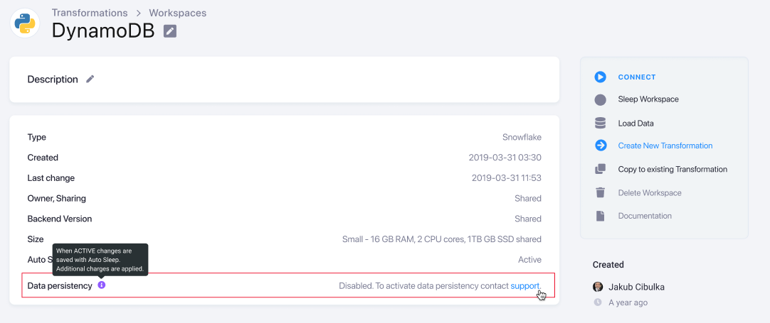 Workspace Data Persistency (beta release)